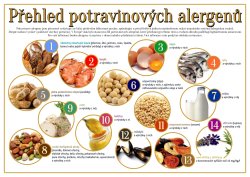 Přehled potravinových alergenů